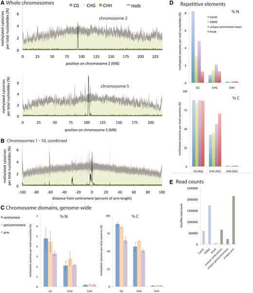 Comparison of DNA methylation across chromosome domains. ( A ) Chromosome-wide view of DNA methylation in each sequence context for unique loci on chromosomes 2 and 5. Each chromosome was divided into 500-kb intervals, and the methylation percentage was calculated for each interval. Also displayed (as a black line) is the number of unique bisulfite reads at each position, making the enrichment for centromeres in this ChIP sample clearly evident. To make the scale appropriate for the figure, the total read count was divided by 10 000. See also Supplementary Figure S2 . ( B ) Chromosome-wide view of DNA methylation in each sequence context for unique loci for all 10 chromosomes combined. All the chromosomes were aligned at the center of their centromeres and their arm lengths normalized such that positions were converted to a percentage of total distance from the centromere (0% to 100% of arm length, X -axis). The arms were divided into 1000 intervals, the length of which depended on the particular chromosome. The methylation percent (Y-axis) is a cumulative value calculated from all reads on all chromosomes within a particular interval. Note that several maize centromeres contain mainly the CentC repeat and have been poorly sequenced, thus, the combined view (also for C below) could be biased toward the better sequenced centromeres. Several chromosomes have errors in their physical maps leading to substantial CENH3 signals on arms (black line). ( C ) Average DNA methylation in unique loci in each chromosome domain. Included are both percent of methylated cytosines per total nucleotides, as in (A), and percent of methylated cytosines per total cytosines in each context. Centromeres are the domains occupied by CENH3, as defined by the CENH3 ChIP reads. For the purposes of this study, pericentromeres extend five MB on either side of the centromeres, and arms are the rest of the chromosomes beyond the pericentromeres. Error bars are standard deviations arising from differences in the values from the 10 chromosomes. ( D ) DNA methylation in repetitive loci. CentC is the tandem repeat of maize centromeres, CRM2 is the dominant centromere retrotransposon, and Knob is a tandem repeat found on arms. Shown are both percent of methylated cytosines per total nucleotides, as in (A), and percent of methylated cytosines per total cytosines in each context. ( E ) Abundance of bisulfite reads. Raw counts are depicted for each chromosome domain (uniquely aligning reads in gray) and for repeats (blue). Due to enrichment for CENH3 domains by ChIP prior to bisulfite treatment and sequencing, a substantial number of uniquely aligning reads come from centromeres, despite the high density of repeats in centromere repeats.
