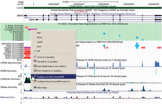 Annotation tracks from OMIM, dbSNP, UCSC Genes, ENCODE Histone HMM and the Epigenomics Roadmap data hub combined in one image. The new context-sensitive menu is shown with the highlighted track about to be configured.