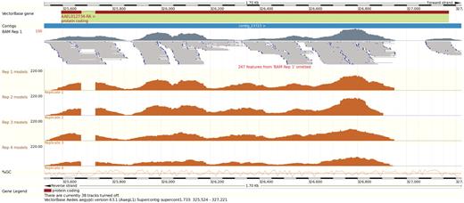 VectorBase: improvements to a bioinformatics resource for invertebrate ...