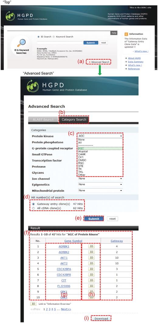 Category Search. This interface is accessed through ‘Advanced Search’ under ‘Top View’ (a). (b) A category search is initiated by clicking the ‘Category Search’ tab. (c) In each category, only one item (term) can be selected. (d) The number of hits from a selected item (term) is then counted, and (f) displayed by clicking the ‘Submit’ button (e). (h) The results are then linked to ‘Information Overview’ by clicking ‘IO’. (g) The ‘Gene Symbol’ interface is linked to NCBI Entrez Gene. (i) The list of search results is obtained by clicking the ‘Download’ button.