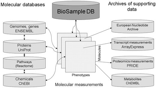 BioSD和其他EBI数据库之间未来集成概述。