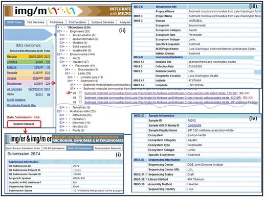 Metagenome data set classification and metadata characterization. (i) Metagenome data sets are submitted for annotation and inclusion into IMG/M ER via the IMG/ER and IMG/M ER submission site. (ii) Metagenome data sets in IMG/M are organized using a hierarchical classification similar to the phylogenetic classification of isolate genomes. (iii) Metagenome data sets submitted for inclusion into IMG/M ER are associated with metadata characterizing the metagenome study, the associated metagenome sequencing project, environmental information, as well as (iv) sample and sequencing information.