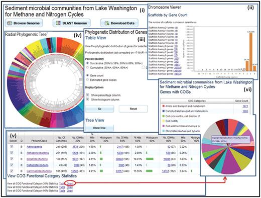 Metagenome data exploration. (i) Microbiome samples, such as the Sediment microbial communities from Lake Washington for Methane and Nitrogen Cycle sample, can be examined using the ‘Microbiome Details’ page, which provide tools for browsing, searching or downloading the metagenome data. (ii) ‘Scaffold Cart’ allows selecting individual scaffolds or groups of scaffolds based on properties such as gene content. (iii) The ‘Phylogenetic Distribution of Genes’ provides an estimate of the phylogenetic composition of a metagenome sample based on the distribution of the best BLAST hits of the protein-coding genes in the sample. The result of ‘Phylogenetic Distribution of Genes’ can be displayed using (iv) the ‘Radial Phylogenetic Tree’ viewer or (v) in a tabular format consisting of a histogram with counts protein-coding genes in the sample, which have best BLASTp hits to proteins of isolate genomes in each phylum or class with >90% identity (right column), 60–90% identity (middle column) and 30–60% identity (left column). (vi) The organization of genes by their assignment to COGs is displayed in a pie chart format.