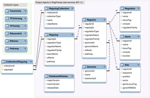 The major output objects and their properties in RegPrecise web services API.