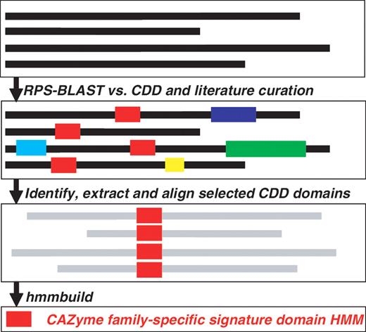 Flowchart of our procedure for identifying and defining signature domain models for an example CAZyme family. Here this family contains four full-length proteins with different lengths. The red box is the signature domain regions defining the CAZyme family. It could be either identified by searching against annotated functional domain models in the CDD database or retrieved from literature curation. Boxes in other colors are non-overlapped domain regions annotated by other CDD models. The CDD search is done by RPS-BLAST, the multiple sequence alignment is done by MAFFT (default parameters), the building of HMM is done by hmmbuild and all other processes are done by self-developed perl scripts.