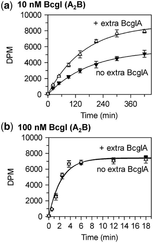 Stimulation of BcgI methylation by BcgIA. Reactions at 37°C, in buffer M, contained the HM oligoduplex  (300 nM) and BcgI RM protein at either 10 nM (a) or 100 nM (b); further reactions at both BcgI concentrations also contained 200 nM BcgIA protein. Samples were withdrawn from the reaction at the times indicated and stopped immediately, prior to measuring the extent of labelling of the DNA as in the ‘Materials and Methods’ section. Reactions with BcgI protein alone, without extra A protein, black inverted triangles; reactions with extra A protein, white triangles. Each data point is the mean of three repeats (standard deviations shown) and the line drawn through each set is the best fit to an exponential.