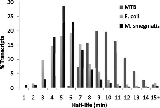 Histogram of transcript half-lives in log phase MTB. The distribution of MTB mRNA half-lives follows a normal distribution (dark gray), with a mean half-life of 9.5 min. This is substantially longer than that previously measured for E. coli [light gray, data from (2), shown with permission of the authors]. The fast growing mycobacterium M. smegmatis had a decay rate similar to previously described bacteria (black). No decay rate was measured for genes that were not expressed at least 4-fold above background or did not follow a logarithmic decay.