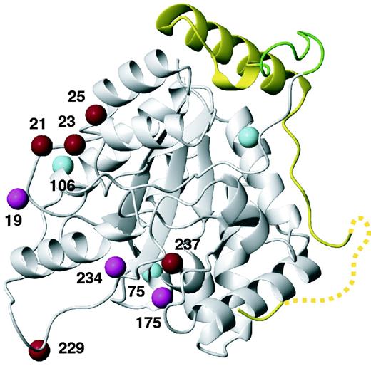 Sites in α270 where Bpa residues were introduced for photo-crosslinking with ε to detect proximity to residues for which no structural information was obtained by the crystal structure in Figure 2. The location of the εCTS determined by the crystal structure is shown in yellow, with the nine-residue linker peptide in green. The Cβ atoms of residues at sites leading to efficient, less efficient or no crosslinking are highlighted in red, magenta and cyan, respectively.