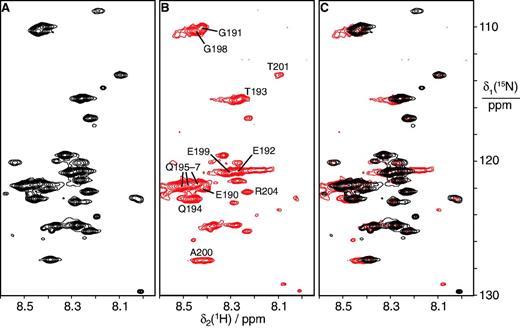 A large segment of the εCTS remains flexible in the αGLεLθ:β2 complex. The mutant subunits αGL and εL were used in the complex to avoid dissociation of β2 during purification using the N-terminal His6 tag on αGL. (A) 15N-HSQC spectrum of the αGLεLθ complex with 15N-labeled εL. Only amides from mobile residues are observable in the 165 kDa complex. (B) 15N-HSQC spectrum of the αGLεLθ:β2 complex with 15N-labeled ε. Resonance assignments obtained by comparison with spectra of α270 in complex with 15N-labeled εCTS are indicated. Most if not all of the observable peaks can be attributed to the εCTS. The same set of amides from mobile residues is observable in the purified 245 kDa complex as in (A). The spectrum was recorded using a 0.1 mM solution of the complex at 25°C. (C) Superimposition of the spectra in (A) and (B) demonstrates that most chemical shifts remain conserved.