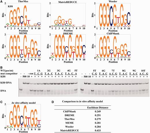 In vitro binding energy model for Klf4 and comparison with the algorithmic predictions from ChIP-seq. ( A ) Sequence logos of Klf4 motifs predicted by TherMos, MatrixREDUCE, Weeder, MEME, DREME and ChIPMunk. ( B ) Results of the EMSA competition assays. ( C ) The sequence logo of the Klf4 affinity model measured in vitro by EMSA competition assays. ( D ) Euclidean distance between the in vitro motif and the motifs predicted by various algorithms.