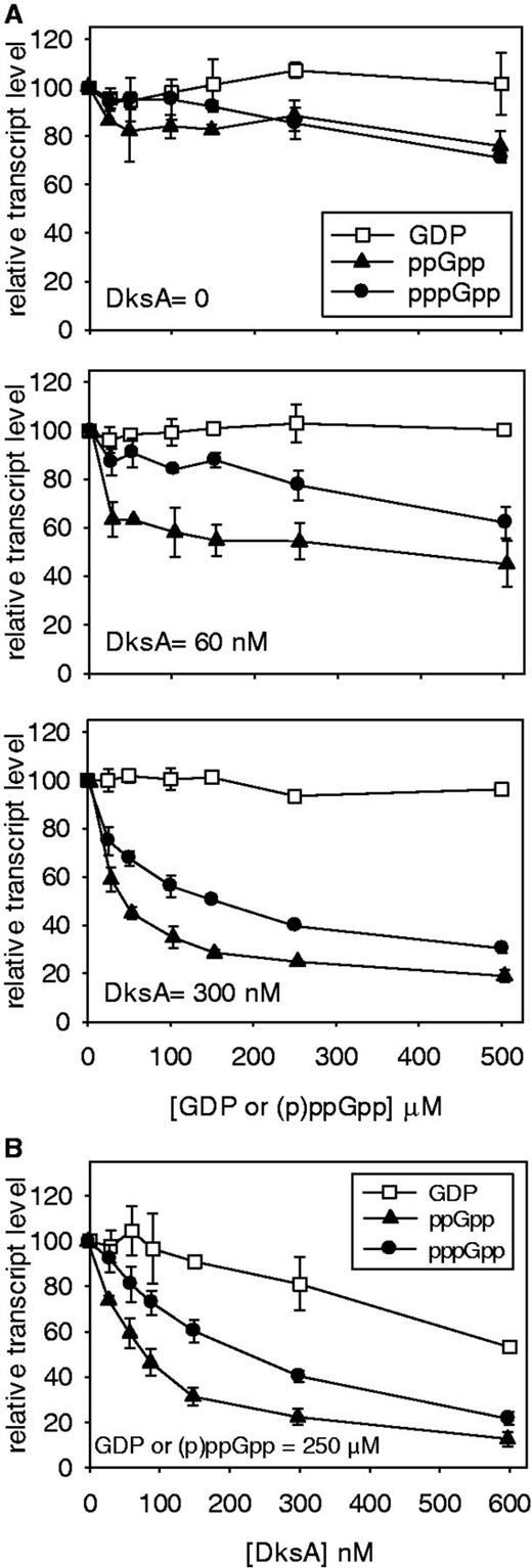 ppGpp versus pppGpp: inhibition of rrnB P1 promoter in vitro. Multi-round in vitro transcription was carried out with (A) increasing (0–500 µM) GDP, ppGpp or pppGpp, and constant DksA concentrations indicated (0, 60 and 300 nM); and (B) increasing DksA (0–600 nM) and constant (250 µM) GDP, ppGpp or pppGpp. Open squares = GDP, filled triangles = ppGpp, filled circles = pppGpp.
