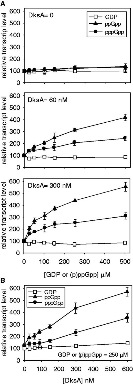 ppGpp versus pppGpp: activation of pthr promoter in vitro. Multi-round in vitro transcription was carried out with (A) increasing (0–500 µM) GDP, ppGpp or pppGpp, and constant DksA concentrations indicated (0, 60 and 300 nM); and (B) increasing DksA (0–600 nM) and constant (250 µM) GDP, ppGpp or pppGpp. Open squares = GDP, filled triangles = ppGpp, filled circles = pppGpp.