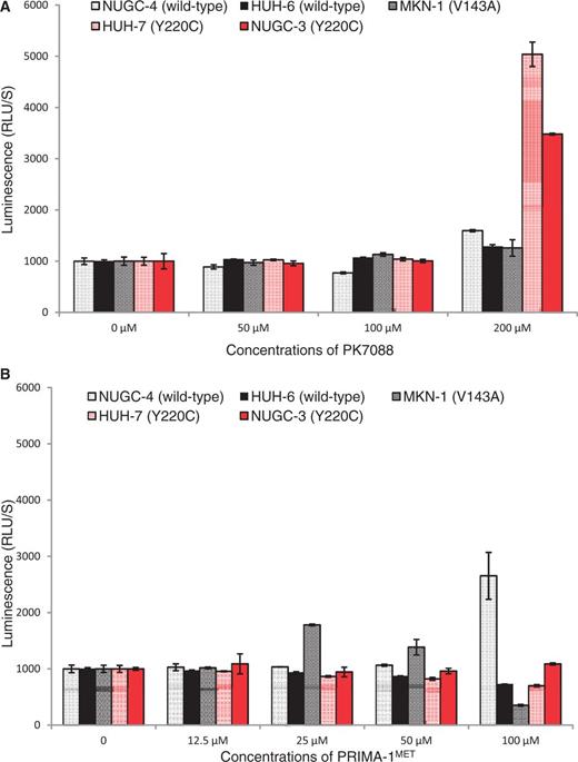Induction of caspase 3/7 by PK7088 or PRIMA-1. PK7088 activates caspase 3/7 selectively in p53-Y220C mutant cells (A), while PRIMA-1 induced caspase in p53-V143A mutant cells and p53 wild-type cells (B). Induction of caspase 3/7 activity was determined after 6-h PK7088 treatment in five cell lines with different p53 status, including the Y220C mutant (NUGC-3, HUH-7), the V143A mutant (MKN-1) and wild-type p53 (NUGC-4, HUH-6).