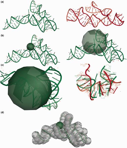 (a) Input data defined by the user: the reference structure (green), the model (red), the center atom of the sphere, vector of radii, level of accuracy—positions of all atoms or only the selected atom type of a particular nucleotide will be considered. (b) The sphere is built based on a selected atom of every residue from the reference structure; the radius can be set by the user (e.g. 6 Å—left, 18 Å—right picture). (c) The reference structure atoms for the selected sphere are recognized, corresponding atoms from the model are identified, both sets are superimposed, and RMSD is calculated. (d) Spheres are built based on a selected type of atom for every nucleotide in the reference structure, and the process from (c) is repeated (reference structure: RNA Puzzles Problem 3, model: Dokholyan_model_2 (23)).