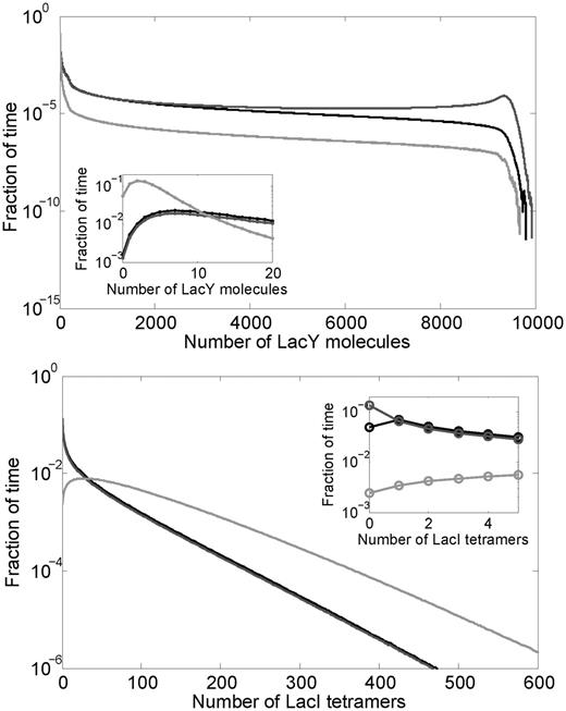 Distribution of the numbers of LacY (top) and LacI (bottom) molecules from stochastic simulations with zero external lactose (duration of 11 million min). The first 1 million min were discarded before making these distributions to eliminate any transients. The black curve represents the WT system, while the dark gray and light gray curves represent the fixed-low and fixed-high systems, respectively. Table 1 lists the mean and standard deviations for each distribution.