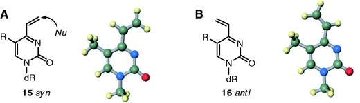 A syn- (15) and an anti-conformation (16) of the vinyl-substituted derivative.