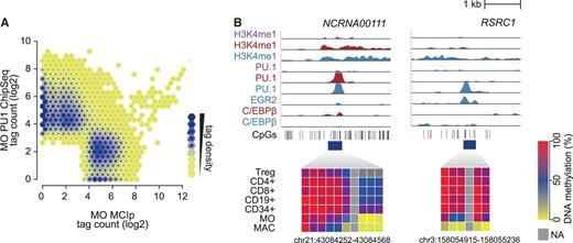 Relationship between transcription factor binding and DNA methylation. (A) Monocyte MCIp-Seq tag counts (representing DNA methylation levels) are compared with corresponding PU.1 ChIP-Seq tag counts at merged peak sets in a hexbin density plot. The colors represent the relative density of peaks in each location within the density plot. (B) Examples for transcription factor-bound promoter-distal regions that showed induced cell stage-specific transcription factor binding were subjected to DNA methylation analysis. Indicated ChIP-Seq tracks for HPC (purple), monocytes (red) and macrophages (blue) are shown for each region (top). Positions of CpG dinucleotides are indicated as vertical lines below the tracks, and regions analyzed by Matrix-assisted laser desorption/ionization (MALDI)-time-of-flight (TOF)–mass spectrometrie (MS) of bisulfite-converted DNA from the indicated blood cell types are indicated by the dark blue boxes. Heat maps depict the methylation status of individual CpGs from red (100%) over blue (50%) to yellow (0%), with each box representing a single CpG. Data of at least three independent donors were averaged.