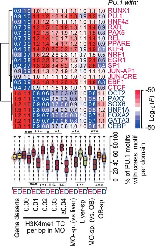 Differential distribution of sequence motif combinations on the level of chromatin domains. The top shows the hierarchical clustering (Pearson correlation uncentered, average linkage) of significance values for motif co-enrichment of the indicated consensus motifs and the PU.1 consensus motif in the indicated domain categories. P-values for motif co-enrichment were calculated using the hypergeometric test relative to the distribution in the total repeat-masked set. Characteristics of individual domain categories are summarized in Supplementary Table S2. Data are presented as a heatmap where blue (red) coloring indicates a significant enrichment (depletion) of motif co-occurrence. Numbers in boxes represent corresponding relative changes in motif co-enrichment. The combined bean and box plot below indicate the frequency distribution of PU.1 motifs that are associated with at least one of the enriched (red, E) or depleted (blue, D) motifs within a 100-bp window, relative to all PU.1 motifs in a domain.