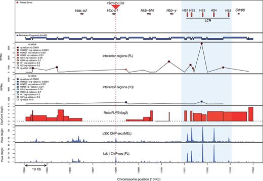 A proof of principle 3C-seq/r3Cseq analysis on the well-characterized β-globin locus. Gene locations are shown at the top followed below by a map of restriction fragments. The line plots show overall detected cis-interaction signals (40 kb up- and 60 kb downstream of the viewpoint) with the β-major promoter in both FL and FB cells. High signals on the viewpoint fragment or the immediately adjacent fragments were excluded. Color gradients represent the range of significant interaction signals (q-value). The bar plot represents the ratio (log2) of normalized signal between FL and FB. The light blue box highlights the LCR region with its hypersensitive sites (HS1-5), coinciding with several FL-specific significant interaction regions and binding sites of transcription factor complexes.