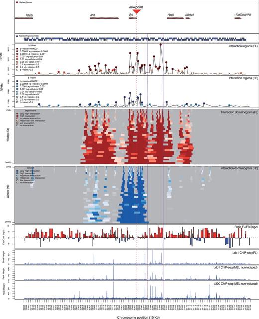 Application of 3C-seq/r3Cseq analysis at the Myb locus. Gene locations are shown at the top followed below by a map of restriction fragments. The line plots show detected cis-interaction regions 500 kb up- and 500 kb downstream of the Myb promoter viewpoint in both FL and FB cells. High signals on the viewpoint fragment or the immediately adjacent fragments were excluded. The domainograms show the detected interactions after a window-based analysis (running from 2 to 30 kb) in FL and FB cells. Color gradients of the domainograms represent the interaction signal strength detected for each run of the defined window (transformed q-value). The purple dashed box highlights the Myb-Hbs1l intergenic region, which shows strong interaction signals coinciding with binding sites of the Ldb1 and p300 transcription factor complexes.