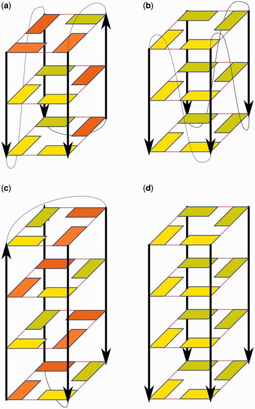 Schemes of experimental structures used in our simulations. (a) 2GKU, (b) 1KF1, (c) 1JPQ and (d) 352D and 1J8G (3TVB has the first tetrad in syn). (Deoxy)guanosine residues are depicted by rectangles. Yellow and orange indicate anti and syn conformation, respectively; darker residues are at the back. Red lines represent G-DNA WC/H hydrogen bonding. Black arrows show sugar-phosphate backbone in 5′→3′ direction. Loops are depicted by thin black curves while flanking residues are not shown.