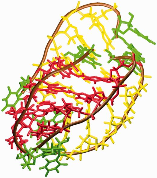 Terminal structure of the 190 ns long no-salt simulation of the RNA quadruplex [r(UG4U)]4, in which base pairing is maintained between red strands and between yellow strands. Yellow strands are those (strands c and d) that consecutively slipped in the simulation. Uridines are colored green.