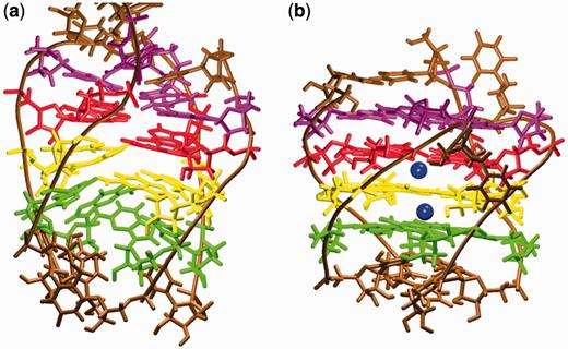 (a) Structure after 40 ns of the no-salt simulation of [r(UG4U)]4. (b) The structure resulting after addition of ions, which is fully restored to its typical conformation. Guanosines forming the individual tetrads in the native G-stem are colored mauve, red, yellow and green; Na+ ions are colored blue, and the backbone and uridines brown.