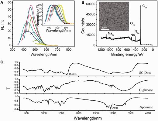 ( A ) Emission spectra (with progressively longer excitation wavelengths from 300 to 480 nm in 20 nm increments) of SC-dots. Inset: the emission intensity was normalized. ( B ) XPS spectra of SC-dots. Inset: TEM image of SC-dots. ( C ) FT-IR spectra SC-dots, D-glucose and spermine, respectively.