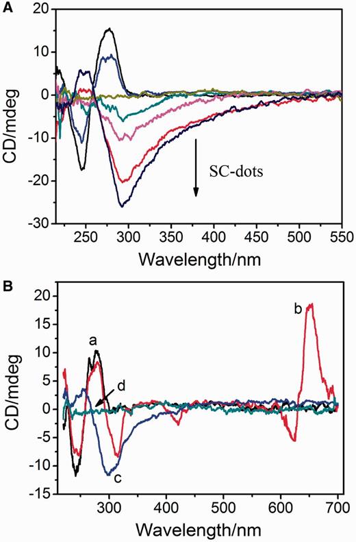 ( A ) CD spectra of ct-DNA titrated with different SC-dots: 0, 1, 2, 3, 5, 8 µg/ml. The straight lint in middle is CD spectrum of 5 µg/ml SC-dots alone. ( B ) CD spectra of ct-DNA alone (a, black); ct-DNA with MG molecule (b, red); and addition of SC-dots to the above solution (c, blue); SC-dots alone (d, green), ct-DNA: 30 µg/ml; MB: 25 µM; SC-dots: 5 µg/ml.