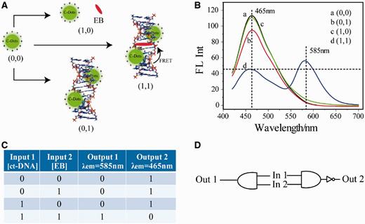 ( A ) Scheme of AND and NAND logic gates principle. ( B ) Fluoresent spectra of (a) SC-dots only, (b) SC-dots/ct-DNA, (c) SC-dots/ct-DNA/EB, (d) SC-dots/EB, excitation wavelength: 400 nm. On excitation at 400 nm, fluorescence output at 585 and 465 nm were recorded in AND and NAND gates, respectively. ( C ) Truth table. ( D ) AND/NAND logic scheme.