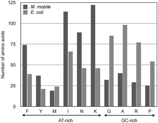 Amino acid composition of PheRS. Dark gray bars represent MmPheRS and light gray bars represent E. coli PheRS.