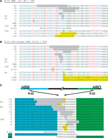  Chromosomal deletions in HBB and HBD induced by CRISPR/Cas9 systems. HEK-293T cells were transfected with each CRISPR construct, and their genomic DNA harvested after 3 days in culture. The ( a ) on- and ( b ) off-target loci for guide strands R-03 were amplified with flanking PCR primers, cloned and Sanger sequenced. Sequencing reads are given for each guide strand and aligned to the wild-type sequence. The number of times each read occurred is indicated to the left of the alignment. Unmodified reads are indicated by ‘WT’. In (b) the guide strand mismatch is boxed. In (a) and (b), the A, C, T and G nucleotides are shown in green, blue, red and black, respectively, for clarity. ( c ) Genomic DNA from cells treated with R-03 was amplified using an HBD forward primer and reverse primer downstream of the HBB site. The PCR products were sequenced and aligned to ‘ HBB-HBD ’ with the bases unique to HBB or HBD indicated in blue or green, respectively, surrounding an identical area found in both genes. Sequencing detected that each product contained indels and mutations consistent with NHEJ, near the target sites for R-03. Insertions and point mutations are marked in yellow and deletions (:) are highlighted in gray. 