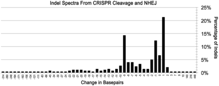  Indel spectra from CRISPR/Cas9 cleavage and NHEJ repair. The change in number of base pairs resulting from each indel was calculated and compiled. The y -axis represents the percentage of each number of insertion or deletion. The most common indels for the CRISPR/Cas9 systems studied: 1 bp additions, 9 bp deletions and 1 bp deletions occurred in 64, 43 and 37 of 302 clones, respectively. 