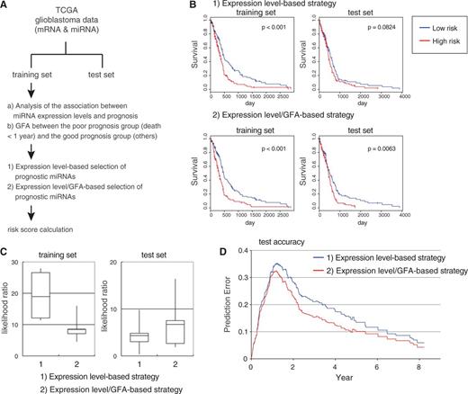 Availability of GFA for the selection of prognostic miRNAs in the development of cancer survival prediction models: TCGA glioblastoma study. ( A ) Analytical outline of survival prediction using TCGA glioblastoma data sets. ( B ) Examples of Kaplan–Meier plots representing survival probabilities according to low or high levels of risk scores developed by (i) the ‘expression level-based’ strategy and (ii) the ‘expression level/GFA-based’ strategy in a training set and a test set. ( C ) Likelihood ratio of survival prediction models developed by (i) the ‘expression level-based’ strategy and (ii) the ‘expression level/GFA-based’ strategy in training sets and test sets. Positive numbers indicate that the model fits the data better. Results with five randomizations are shown. ( D ) Time-dependent prediction errors of survival prediction models developed by (i) the ‘expression level-based’ strategy and (ii) the ‘expression level/GFA-based’ strategy in training sets and test sets. Average results with five randomizations are shown.