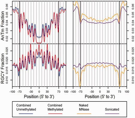 Frequency profiles of the AnTm and RGCY tetranucleotide consensus sequences in the nucleosome and control libraries for the human data. The tetranucleotide fractions of occurrence for AnTm ( n + m = 4, no TA steps) and RGCY were generated from forward and reverse complement sequences centered on midpoints for the combined unmethylated nucleosome library (blue), the combined methylated nucleosome library (red), the naked MNase-digested DNA library (orange), and the naked sonicated DNA library (purple).
