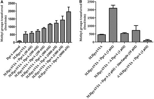 Effect of HpDprA on MTase activity. ( A ) Increasing concentrations of HpDprA were incubated with 1 µM AdoMet and pUC19 DNA (1000 nM site concentration) and 100 nM of M.HpyAVIA. Incorporation of tritiated methyl groups on DNA was monitored. ( B ) Stimulation of MTase activity of M.HpyAVIA in presence of HpDprA. Δ indicates heat inactivated protein.
