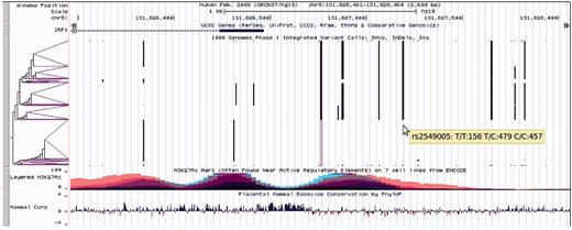 Genome Browser image of the promoter region and transcription start of IRF1 on human assembly hg19 showing UCSC Genes, 1000 Genomes Phase 1 Integrated Variant Calls in the haplotype sorting VCF display mode, histone mark H3K27Ac binding in overlays of 7 ENCODE cell lines and PhyloP conservation scores from alignments of placental mammals. Mouse-over text gives the dbSNP identifier and genotype counts for one of the 1000 Genomes variants. The variant outlined in purple is used as the center variant for clustering haplotypes by similarity, and is clearly in linkage with nearby variants. Wider purple triangular leaves of the clustering tree indicate more common local haplotypes. Note that the reference genome haplotype (horizontal run of invisible reference alleles) is often not the major haplotype among the 1000 Genomes Phase 1 samples.