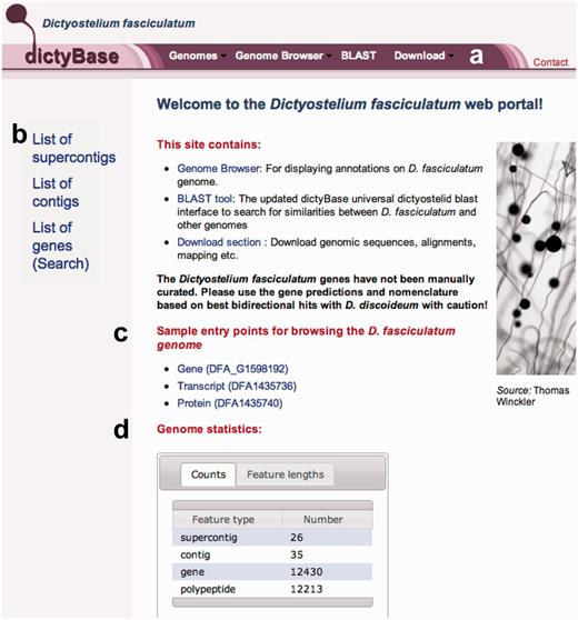 The front page of D. fasciculatum. (a) The top bar contains four drop-down menus (Genomes, Genome Browser, BLAST and Download) that provide a selection for all genomes (including D. discoideum), allowing the user to easily switch between genomes or access functions available for the currently displayed genome. (b) Quick links to lists of sequences are available on the left-hand side of the page. (c) The page also provides sample entry points for a gene, a transcript and a protein to help first time or occasional users. (d) Genome statistics display available statistics for the current genome. Note that features vary slightly for each genome depending on the available data.