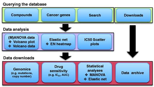 A schematic representation of the GDSC database structure and content. Data are accessed in a hierarchical fashion by either querying by screening compound or cancer gene of interest. This gives access to graphical representations of cell line drug sensitivity data and genomic correlations of drug response in multiple formats through either drug- or gene-specific pages. All data are freely available for download either through gene- or drug-specific pages, or as a whole through the download page.