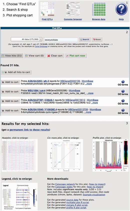 Cross experiment search. (1) Users can search for genes, markers or traits of interest using a google-like search box, optionally filtering for particular types of information. The results include links to WormBase and PubMed where possible. (2) From the resulting list, users can select items in a shopping cart, optionally repeating the search to add more items. (3) Finally, users can plot the contents of the shopping cart on top of all collected QTL data sets showing interesting areas in a heat plot, significant traits in a cis/trans plot and the individual signals in a profile plot. Alternatively, users can browse the QTL profiles using a genome browser, view/download the data set by simply browsing trough all available information or use the scriptable interface to program against. A complete tutorial is available in the help page.