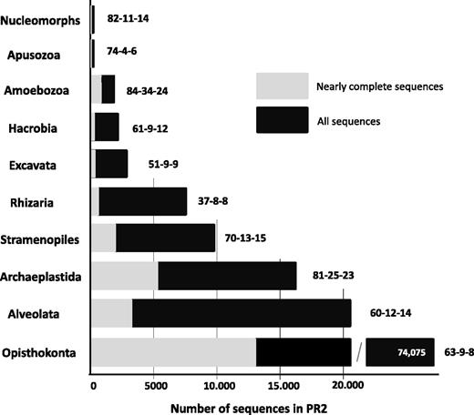 Total number of SSU rDNA gene sequences in the PR2 database for each main eukaryotic lineage (all sequences = grey + black, complete or nearly complete sequences in light-grey). Note that nucleomorphs were extracted from Archaeplastida. Numbers indicated after bars indicate percentages of sequences that include the following: (i) the V4 region as defined by primers forward CCAGCASCYGCGGTAATTCC and reverse ACTTTCGTTCTTGATYRA used during the European Biomarks project; (ii) the V9 region as defined by primers forward GTACACACCGCCCGTC and reverse TGATCCTTCTGCAGGTTCACCTAC used during the European Biomarks project; and (iii) the V9 region defined by primers forward TTGTACACACCGCCC and reverse CCTTCYGCAGGTTCACCTAC used by the WAMPS project. For Opithokonta, number in white = total number of sequences.