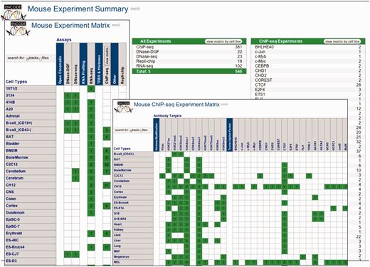 All three screens of the Experiment Matrix for mouse are shown overlaid. The Data Summary screen lists experiments by data type, and provides launching to the two matrix screens that organize the data by assay and cell type. Clicking the appropriate table row or matrix cell launches a Track or File search tool (based on the Track/File selector control) that allows further refinement of the selection for browsing or download.