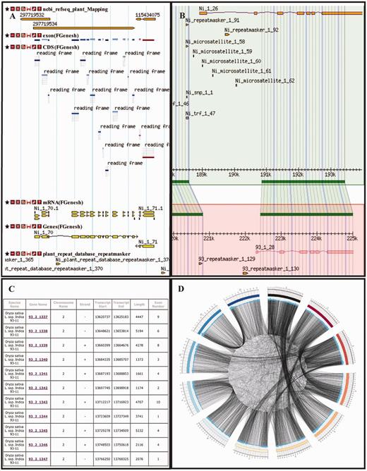 Snapshots of selected browser functions. (A) Gbrowse; an example displays RefSeq mapping, gene structure and repetitive elements annotations in a selected window. (B) Gbrowse-syn; a window displays syntenic regions and selected tracks between two genomes, Nipponbare and 93-11. (C) GeneBrowse; it lists details of gene and genome annotations (93-11 genome). (D) Circos; it displays a link map of homologous genic regions of rice chromosomes (93-11).