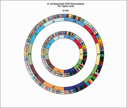 The y-gene code wheel depicting the systematic uncharacterized gene nomenclature rationale for E. coli K-12 is shown.