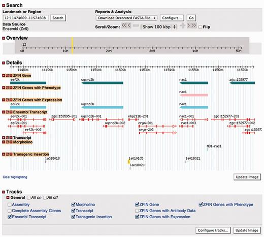 Transgenic insertions now have a dedicated GBrowse track. Like other items shown in Gbrowse, transgenic insertions shown on this track are linked to their feature records in ZFIN.