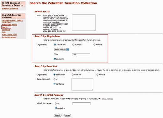 ZInC search interface. Insertion sites within genes have been mapped to a variety of common identifiers. Users can query ZInC with accession numbers from a number of sources, including Ensembl, GenBank, RefSeq and ZFIN. Users can also query by human, mouse or zebrafish gene symbols and names, either individual entries or longer lists. Queries can also be performed on KEGG biological pathways. All searches allow for an exact match (is) or a query with wildcards (contains). In this instance, we searched for a mutant in the gene smoothened using the zebrafish symbol ‘smo’ and by choosing the ‘contains’ radio button, the search will return any gene symbol that has the text string ‘smo’ in it.