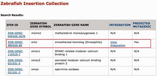 ZInC search results. In Figure 1, the zebrafish gene symbol ‘smo’ was entered in the Search by Single Gene box. Since the ‘contains’ radio button was selected, all zebrafish gene symbols in ZFIN containing the text string ‘smo’ are returned, regardless of whether an integration in the gene is available. IDs in the ZFIN ID column link to ZFIN entries for specific genes. For those genes with an integration, more detailed information is available through the ‘View Integration’ link (Figure 3).
