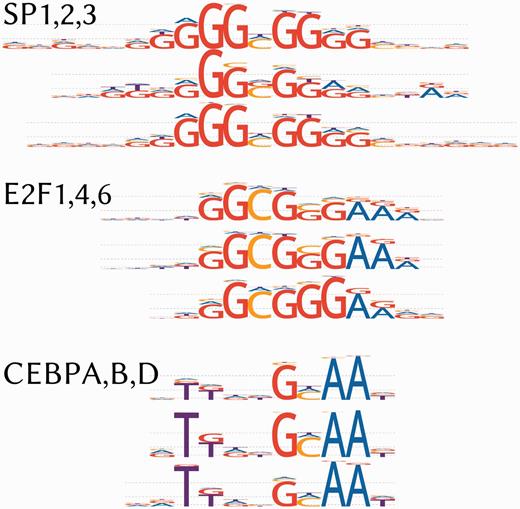 TFBS model LOGOs for highly similar models within TF families. LOGOs for selected members of CEBP, E2F and SP families are given. The Discrete Information Content is used for nucleotide scaling as in (29). Note that in our LOGO representation, the dominant nucleotides are placed at the bottom enabling easy observing the sequence of the best scoring binding site.