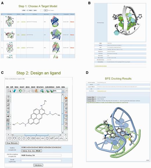 Web interfaces of the online prediction module. (A) Choose target G-quadruplex structure model for evaluating the ligand/G-quadruplex interaction. (B) Detailed information of target G-quadruplex. (C) Design ligand for prediction. (D) The results page.