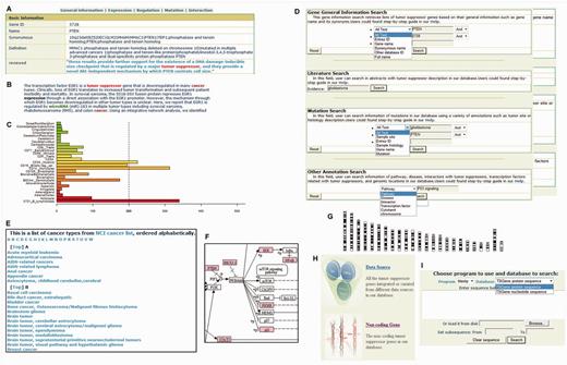 Web interface of the TSGene database. (A) Basic gene information in the TSGene database. (B) A typical highlighted literature with supporting keywords. (C) Gene expression profile. (D) Query interface. (E) Browser for various cancer types. (F) KEGG pathway mapped with TSGs (color-marked). (G) Browsing TSGs using Chromosome location. (H) Browsing TSGs by data source and gene types (protein-coding and non-coding). (I) BLAST interface for sequence searching in TSGene database.